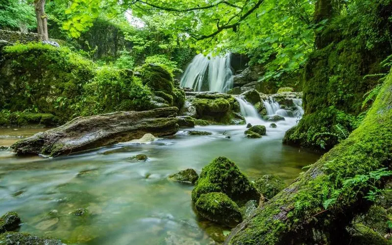 独特高端